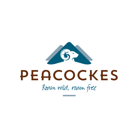 Logo for Peacockes Hotel